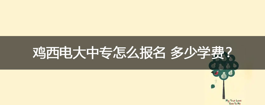 文章配图.jpg