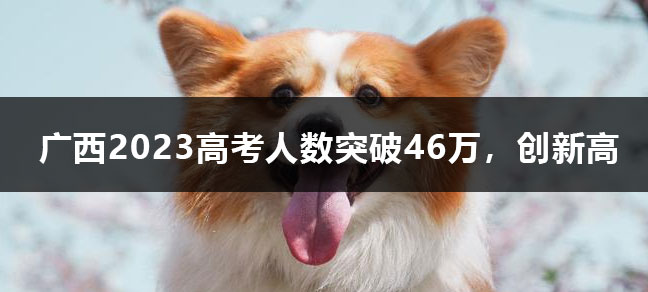 jiyu365.jpg