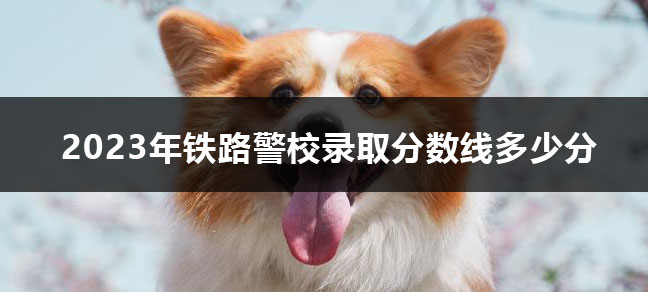 jiyu365.jpg